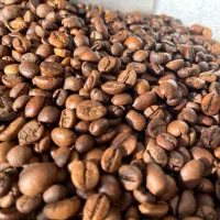 پخش قهوه و تجهیزات کافه