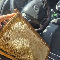 عسل گَوون درجه یک