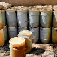 آگهی سیرترشی ۹/۵ نیم ساله