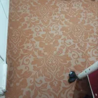 موکت
