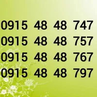 0915-48-48-747