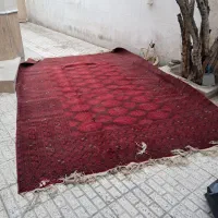 فرش سالم
