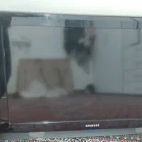 تلویزیون سامسونگ