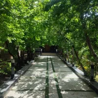 340-متر-باغچه110-متر-ویلا-استخر-چهارفصل