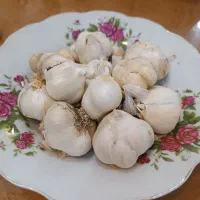 سیر همدان