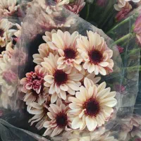 کارگر دائم گلخانه با خانه در اختیارتون