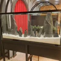 آکواریوم (دکوری)