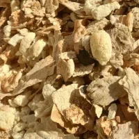 نون خشک فرداعلاتمیز|لوازم جانبی حیوانات|رضویه, |دیوار