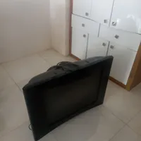 تلویزیون