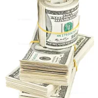 استخدام و همکاری