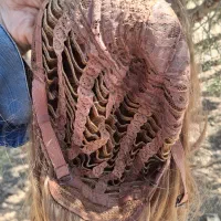 پوستیژ مو با کیفیت اصلی . نو|آرایشی، بهداشتی، درمانی|صدرا-فارس, فاز ۱|دیوار