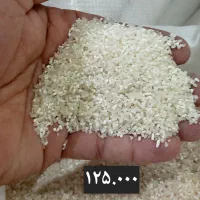 برنج فجر|خوردنی و آشامیدنی|گرگان, |دیوار