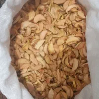 برگه سیب درختی) پر سیب(