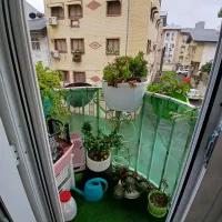 ۵۸متر۲خواب طبقه۲پارکینگ و پارکت سند شهرک قدس|فروش آپارتمان|رشت, شهرک قدس|دیوار