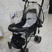 کالسکه دلیجان