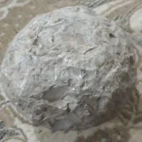 شهاب سنگ|کلکسیون اشیاء عتیقه|چگنی, |دیوار