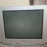 تلوزیون