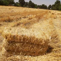 زمین-صنعتی