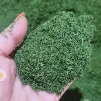 فروش محصولات ارگانیک شمال