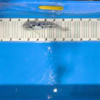 ماهی کوی|ماهی|تهران, شهرک ولیعصر شمالی|دیوار