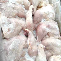 گوشت|عمده‌فروشی|محمدشهر, محمدشهر|دیوار