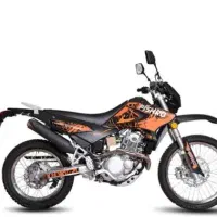 موتور تریل 250