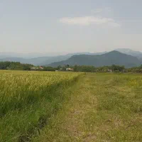 فروش زمین کشاورزی