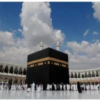 فروش فیش مکه