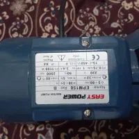 فروشی یک اسب