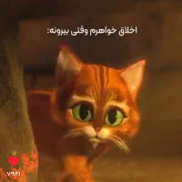 پیج اینیستا قیمت عالی