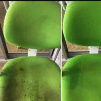 شرکت خدمات مبل شویی و قالیشویی علی|خدمات نظافت|میاندوآب, |دیوار