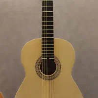 گیتار کلاسیک آگرین