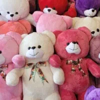 خرس ولنتاین یک متری