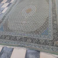 قالی ۱۲ متری
