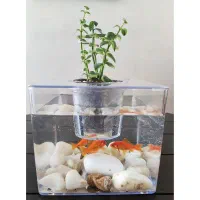 آکواریوم گلدانی 3 لیتری