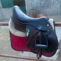 زین ایتالیلیی اکویلین