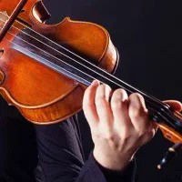 آموزش خصوصی ویلون در منزل شماـ اصولی و کاربردی|خدمات آموزشی|مشهد, هفت تیر (حافظ)|دیوار