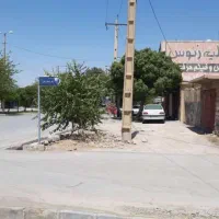 فروش یا تهاتر باملک در شیراز.|فروش زمین و ملک کلنگی|نورآباد ممسنی, |دیوار