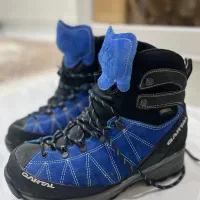 کفش کوهنوردی