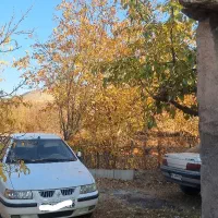 فروش باغ ،معاوضه با خانه یا اپارتمان|فروش دفتر صنعتی، کشاورزی، تجاری|مراغه, |دیوار