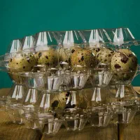 شانه تخم بلدرچین و تخم مرغ (پلاستیکی)