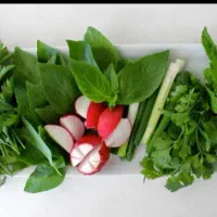 سبزی آماده حیدری|خوردنی و آشامیدنی|قم, شاد قلی|دیوار