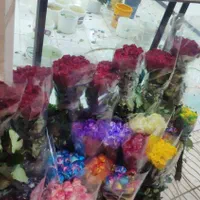 فروش عمده گل نرگس مستقیم از مزرعه به سراسر کشور|گل و گیاه طبیعی|شیراز, جوادیه|دیوار