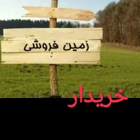 زمین شهرک انصار