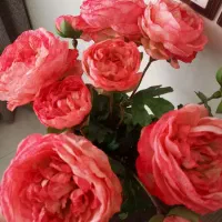 گل مصنوعی|گل مصنوعی|همدان, |دیوار