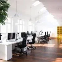 بیز بازاریابان فروش اینترنتی