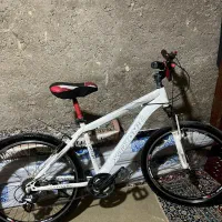 دوچرخه سایز ۲۶