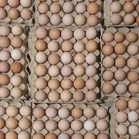 همکار در قسمت فروش مجموعه کار در منزل و بیرون