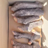 هیزم سفالی هیزم شومینه هیزم نسوز هیزم آتشدان گازی|بخاری، هیتر، شومینه|چهارباغ, |دیوار