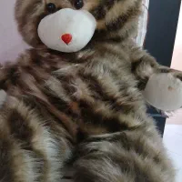 عروسک بزرگ خرسی